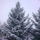 ���� �����, ���������, 56 ��� - ��������� 23 ������� 2012 � ������ ���� ����������