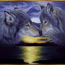  Wolf, , 36  -  18  2012