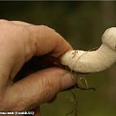 ... ���������, �� � ������ ))) �� ������� �������