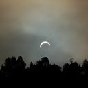 ���� ˸��, �������, 55 ��� - ��������� 20 ���� 2010 � ������ �������