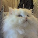 ������ ��� ��� .
 �� ������� ���� ����������