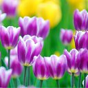 ���� ����� - ���������� ��������!!!, �����������, 56 ��� - ��������� 21 ������ 2010 � ������ ��������ۻ