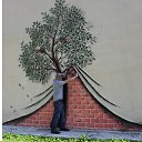 ���� ���������, �����������, 46 ��� - ��������� 5 ���� 2013