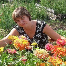 ˸���, ����, 51 ���