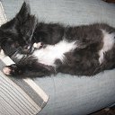 ���� ���������, ������ ��������, 46 ��� - ��������� 26 ������ 2009 � ������ ���� ��������: ��������