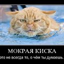 ���� ����, ����, 50 ��� - ��������� 17 ������ 2010 � ������ �������