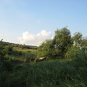   , , 45  -  6  2011     !!!