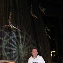 ���� ������, �����-��������� - ��������� 4 ���� 2013