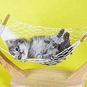    )))), , 47  -  15  2009   .