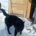  Vytautas, , 66  -  8  2010   foto