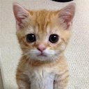  Ira, , 38  -  12  2013    