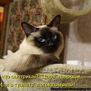 ���� ��������, ������������, 49 ��� - ��������� 24 ����� 2011 � ������ ���������
