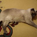 ���� ������-���, ������������, 47 ��� - ��������� 2 ����� 2010 � ������ ���� ������