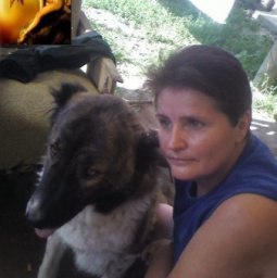 Vd ������, ����, 58 ���