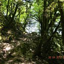 ���� �������, ����, 46 ��� - ��������� 1 ��� 2012 � ������ ����������� �������-�.����-�������� �������