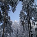 ���� Toryst, �����-���������, 53 ���� - ��������� 17 ������ 2010 � ������ ���������� ���� � ������