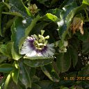 ���� ����, �����, 60 ��� - ��������� 9 ���� 2012 � ������ ��Ψ ����������� � ������ܻ