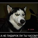 ���� ��������, �������, 64 ���� - ��������� 5 ����� 2010 � ������ ��������������