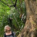 �.�������, � �������� ��� ����������... �� ������� ���������ۻ