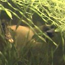 ���� ������, ���������, 66 ��� - ��������� 14 �������� 2010 � ������ ��� �������