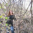 ���� ���������, �����, 53 ���� - ��������� 19 ������� 2013 � ������ ���� ����������