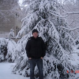 ��������, �����������