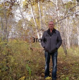 ������, �������������-����������, 65 ���