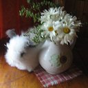 ���� �������, ����������� ����, 60 ��� - ��������� 22 ������� 2012 � ������ �������