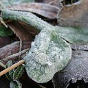 ���� �����.....����., �������, 43 ���� - ��������� 28 ������ 2011 � ������ ���� ����������