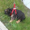 ������ 4-��� ���� ,������ 3 ������...