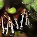 ���� �����, ������, 26 ��� - ��������� 26 �������� 2010 � ������ �����