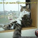 ���� ������, ����, 42 ���� - ��������� 25 ������ 2012 � ������ ���� ����������