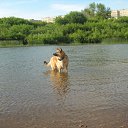 ���� ������, ������, 62 ���� - ��������� 23 ������� 2012