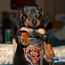 ���� �����, ���� - ��������� 26 ������� 2013 � ������ ���� ������ ������� �����, ��� ������ �������� ������)))�