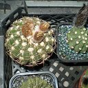 ���� ������, ������, 69 ��� - ��������� 5 ������ 2013 � ������ ���� ��������� ����������