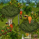  ,  -  8  2012   Tropikania