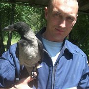 �����, 49 ���, ��������