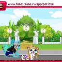  , , 84  -  26  2011   PetLove