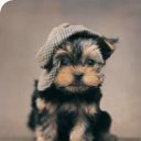 ���� Sant, ����, 55 ��� - ��������� 10 ������ 2010