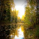 ���� ��������, ������ �����, 55 ��� - ��������� 21 �������� 2012 � ������ �������