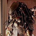 ���� Alberto, ������, 44 ���� - ��������� 25 ����� 2013 � ������ ���� ����������