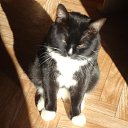 ���� ������, ����-���������, 55 ��� - ��������� 5 ������ 2013