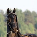 ���� ���, �������, 67 ��� - ��������� 16 ������� 2011 � ������ ��������))�