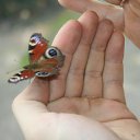 ���� �������, ��������, 54 ���� - ��������� 7 ������ 2011 � ������ �������� � ������))))))�