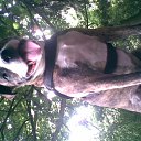���� Krappy, ������, 57 ��� - ��������� 9 ������ 2012 � ������ �Vogelbeen�