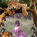 ���� �����, �����, 39 ��� - ��������� 13 ������� 2011 � ������ ���� ����������