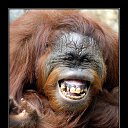 ���� ����, ����� - ��������� 10 ���� 2013 � ������ ���� ����������