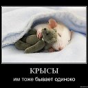 ���� ����, ����, 50 ��� - ��������� 16 ������ 2010 � ������ �������