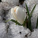 ���� ��������, ������-��-���� - ��������� 4 ������ 2013 � ������ �������