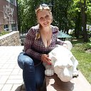 ���� �������, ���������� - ��������� 9 ��� 2013 � ������ ���� ����������